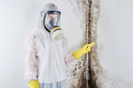 Best Airborne Mold Testing in Midwest City, OK